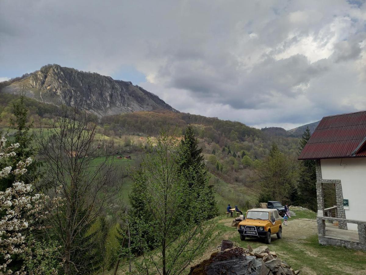 Cabana Belvedere Dragoslavele Exterior foto