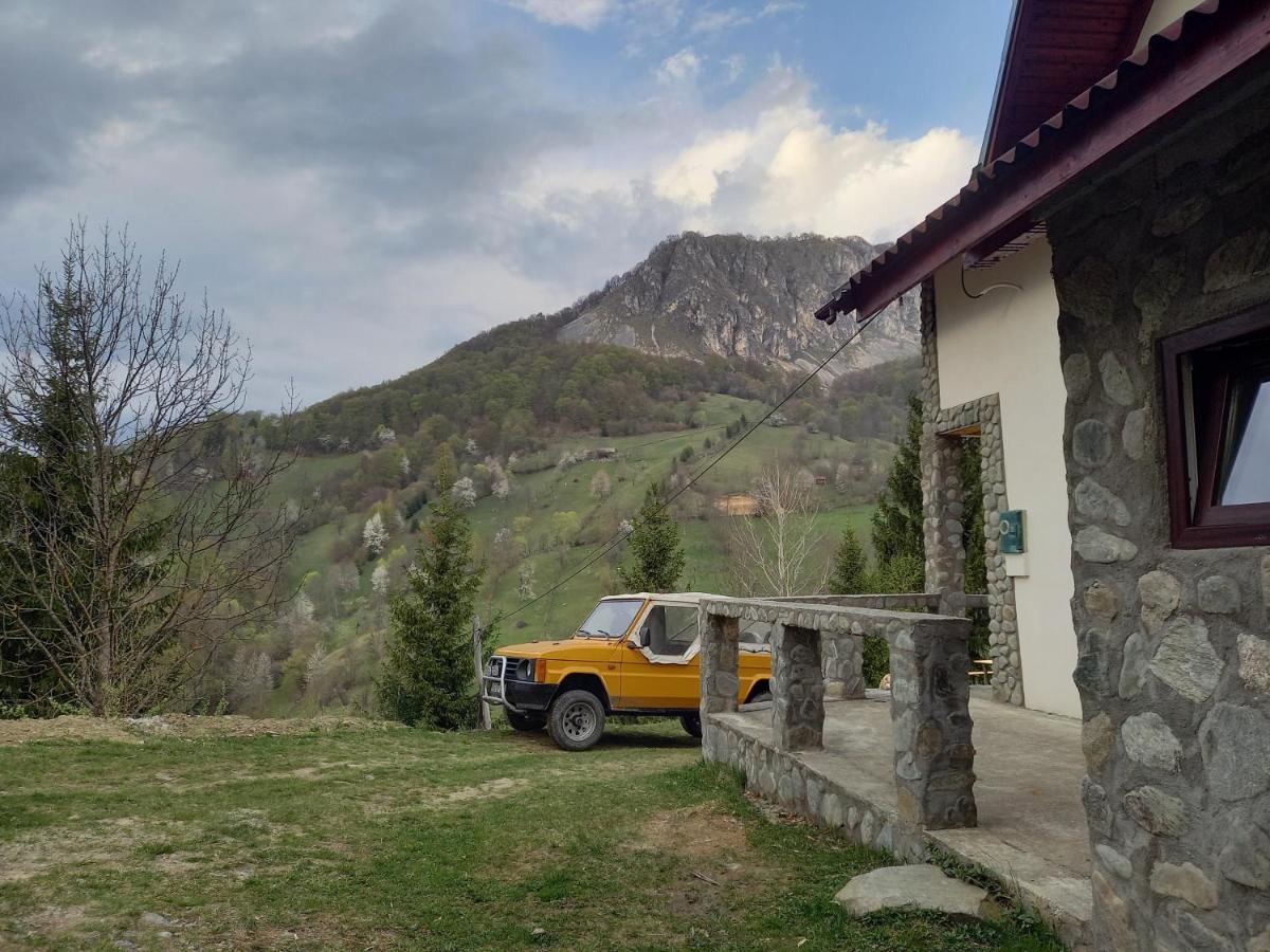 Cabana Belvedere Dragoslavele Exterior foto